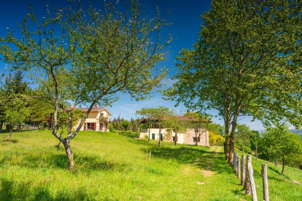 Casa Oriental Pensionat Cereceda  Eksteriør billede