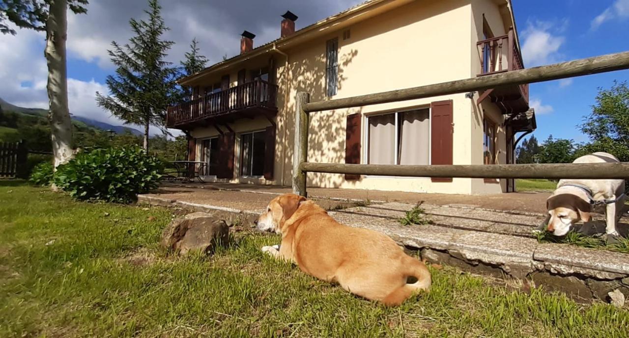 Casa Oriental Pensionat Cereceda  Eksteriør billede